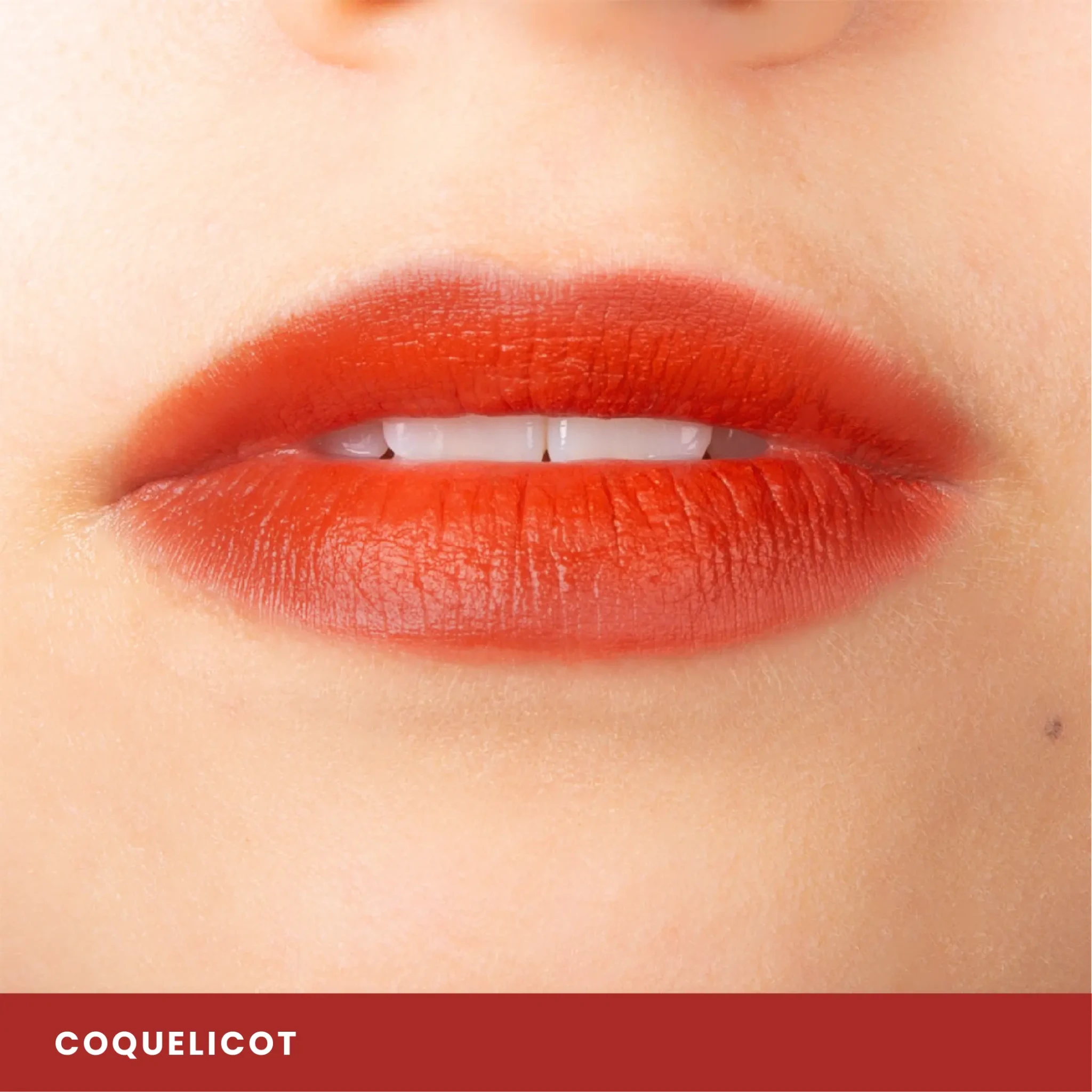 charlotte-bio-rouge-l-vres-mat-sans-dioxyde-de-titane-best-seller image 6