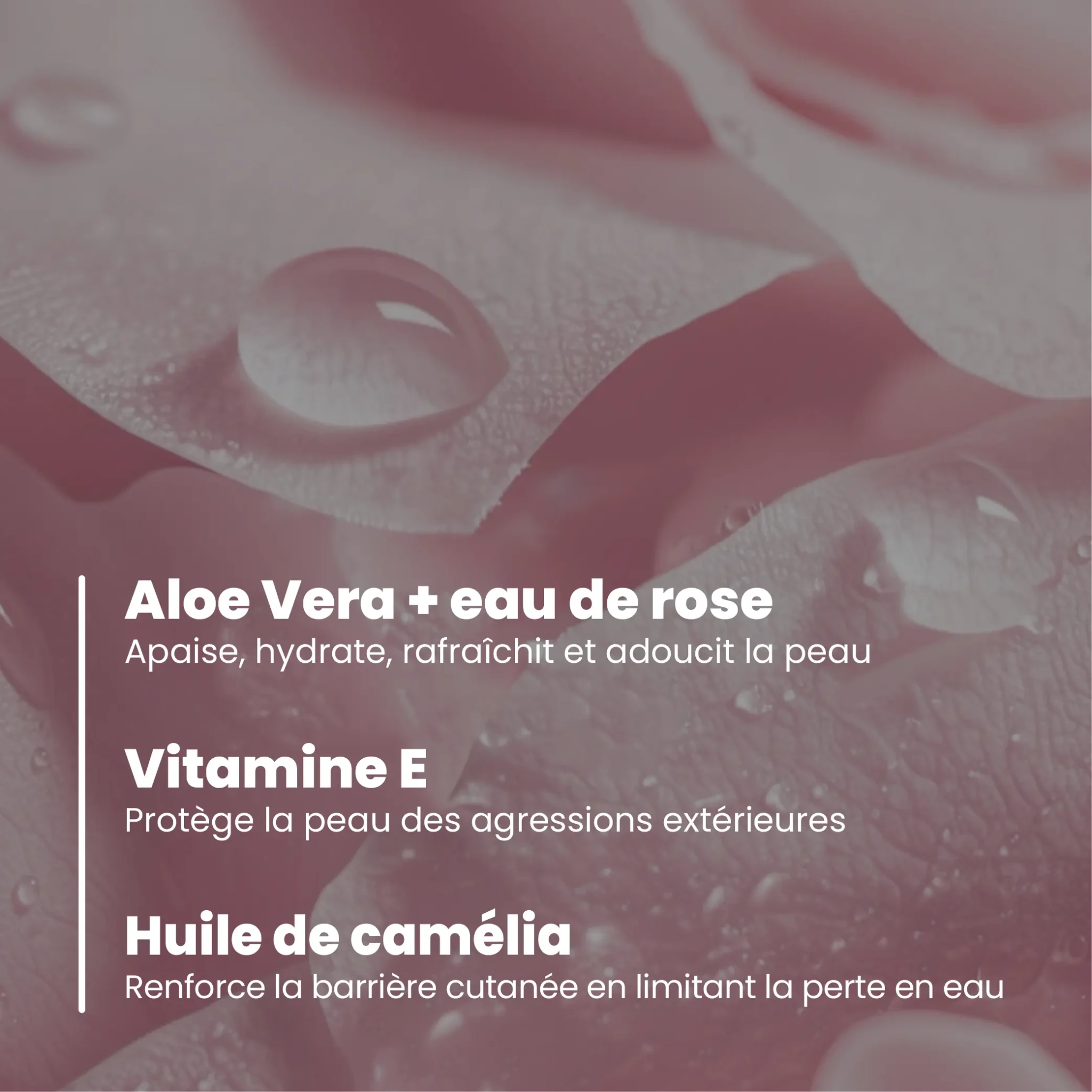 charlotte-bio-cr-me-nettoyante-visage-clat-bio image 5