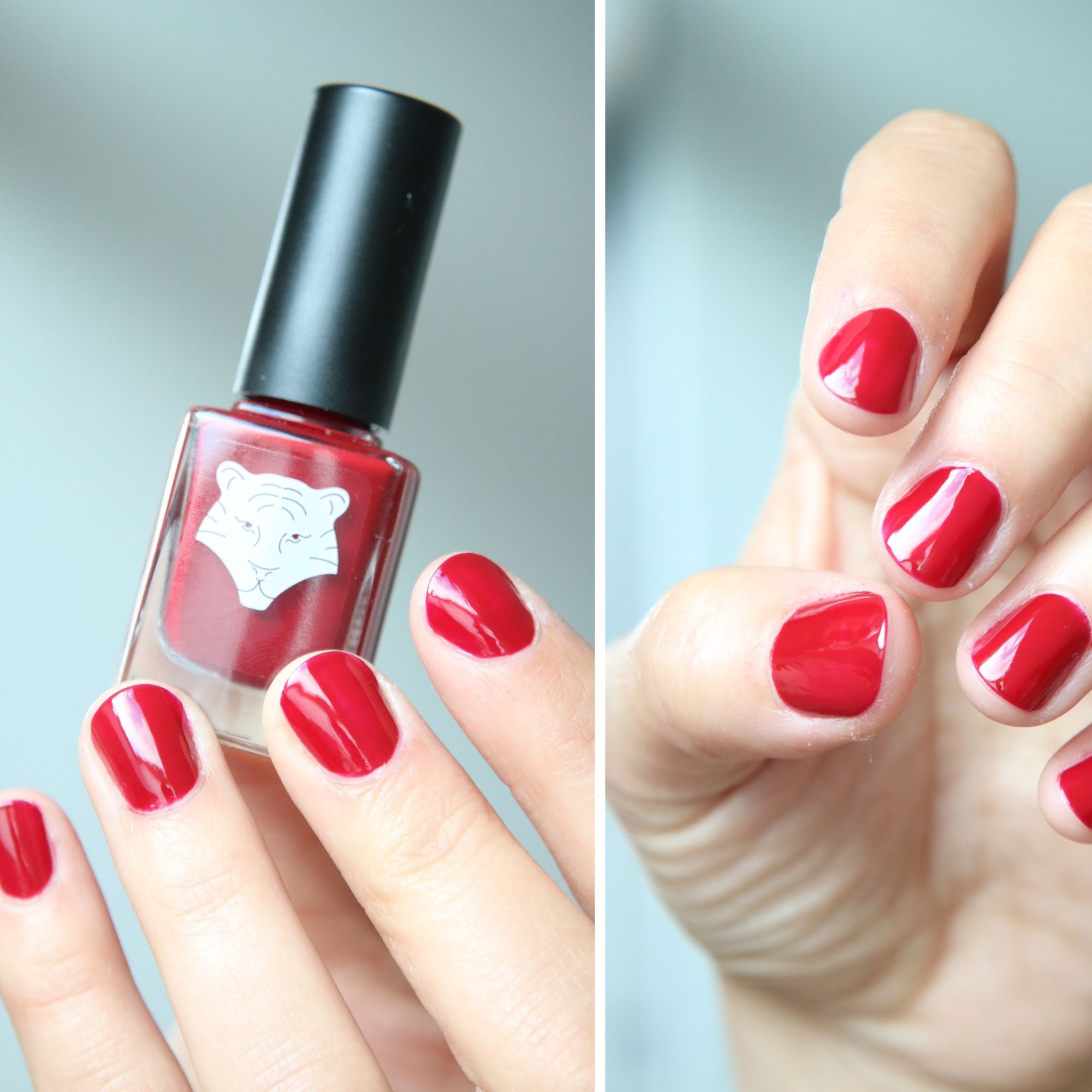 all-tigers-vernis-ongles-rouge-bordeaux-207-play-with-fire image 2