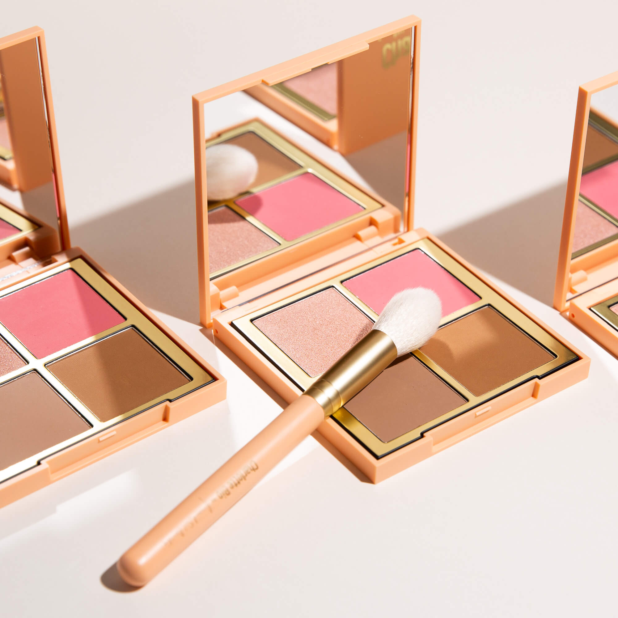 charlotte-bio-duo-palette-bonne-mine-pinceau-palette-teint-et-son-pinceau-assort image 6