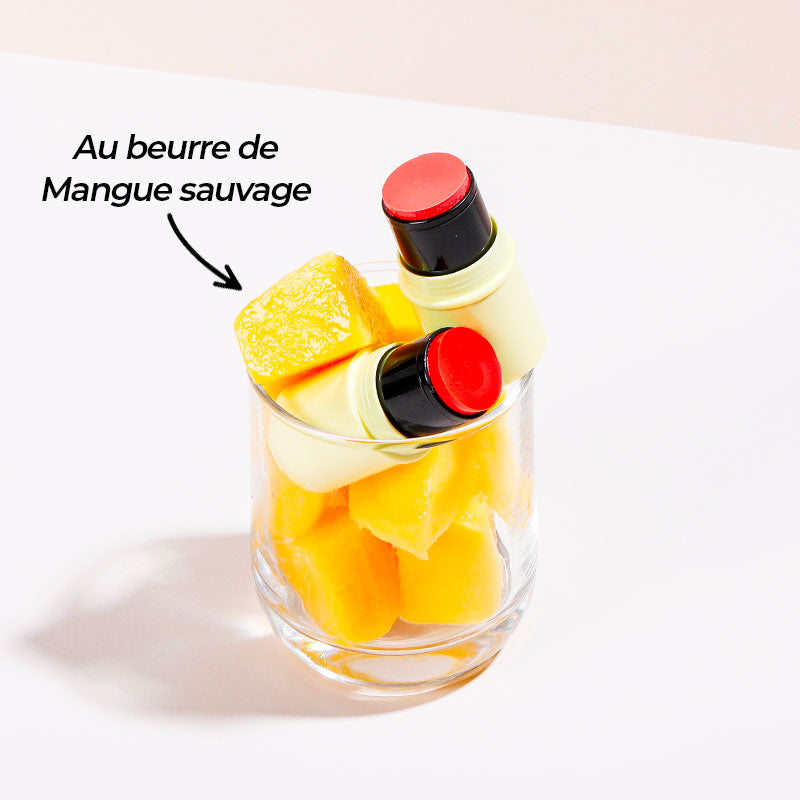 pomponne-fantastick-baume-blush-2-en-1-teinte-l-orang-gravure-au-choix image 6